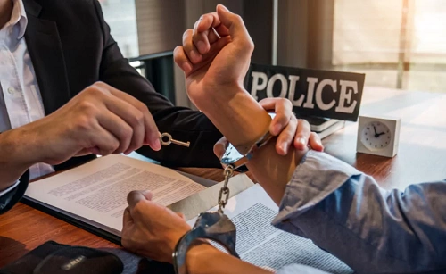 Criminal Defense Lawyer