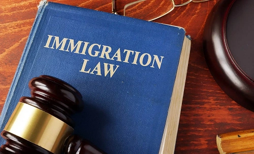 Immigration Lawyer