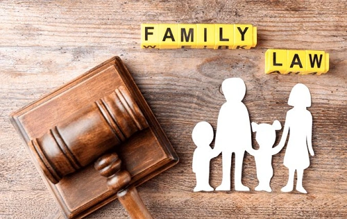 Family Lawyer