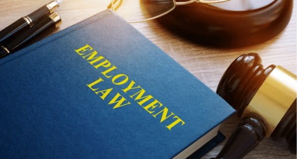 Employment Law Attorneys