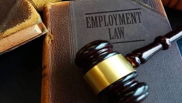 Employment Law Attorneys